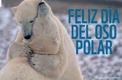Dia internacional del Oso polar