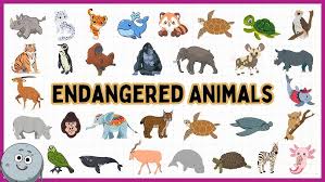 Endangered Animal Word Search