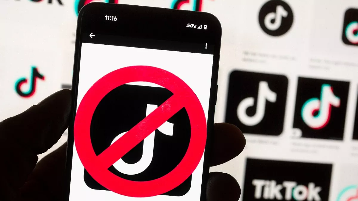 What are your thoughts of TikTok getting ban?