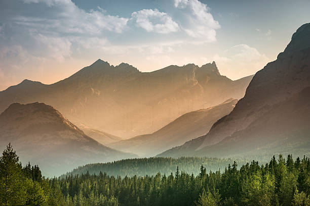 Mist rises over the forest in Banff National Park Alberta Canada