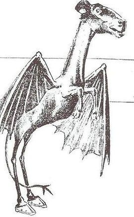 A depiction of what the Jersey Devil may have looked like.