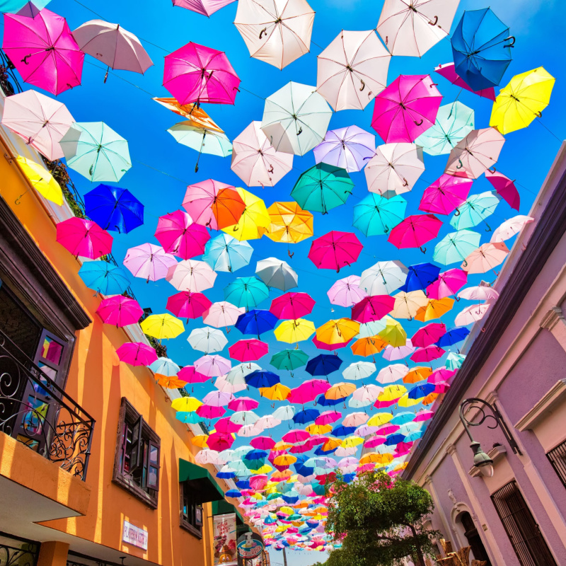 February 10th National Umbrella Day!