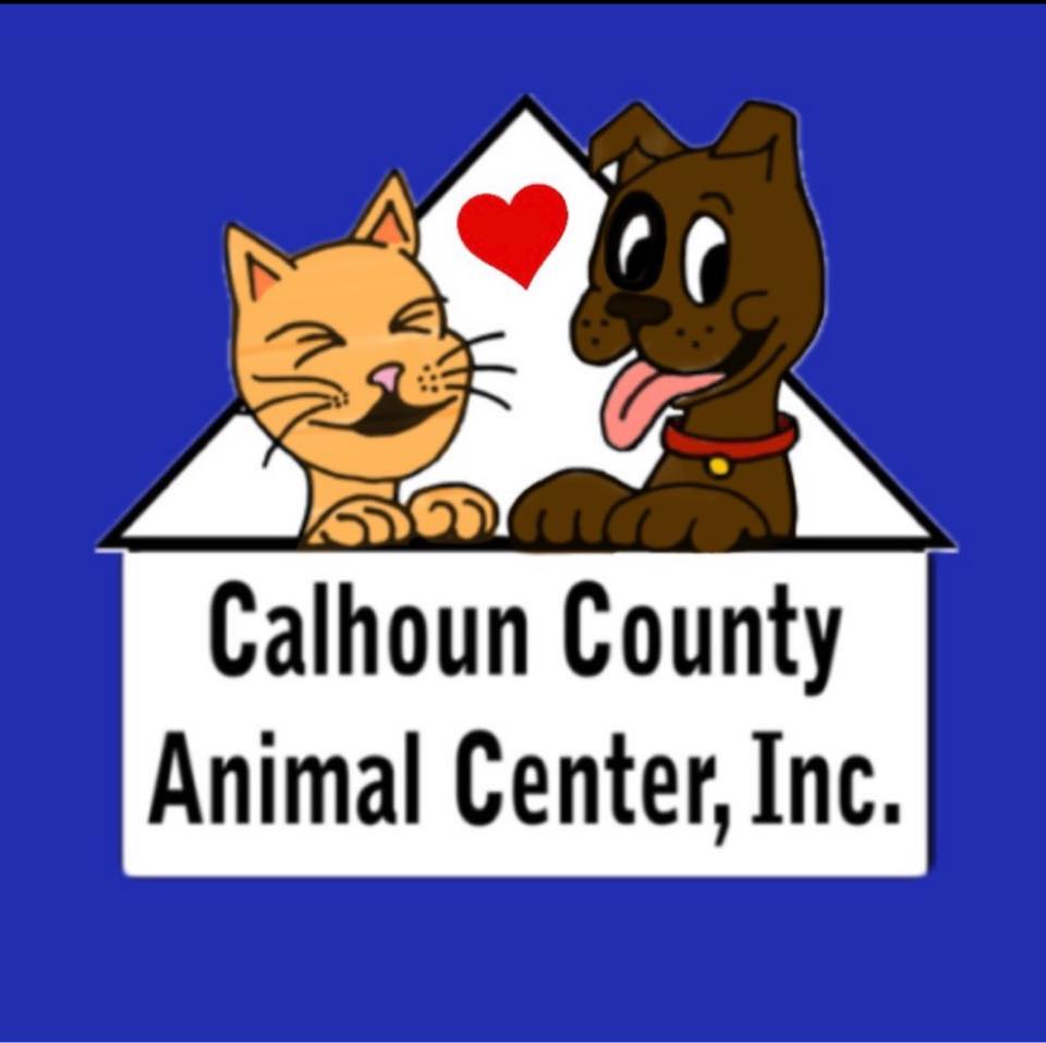 Animal Shelters Need Your Support