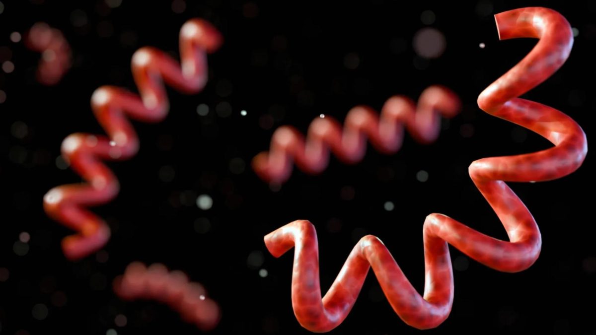 New Scientific Discoveries