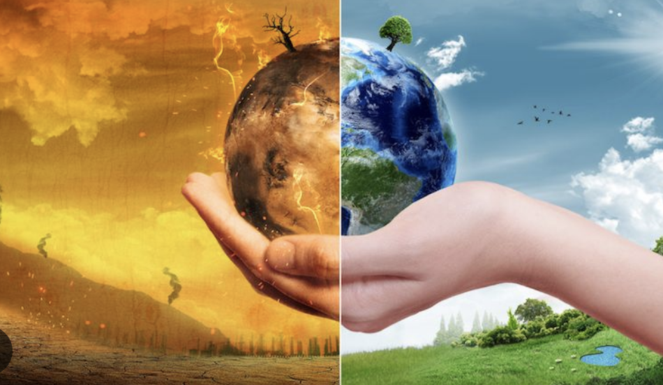 Global Warming—How it is Affecting Our Habitats
