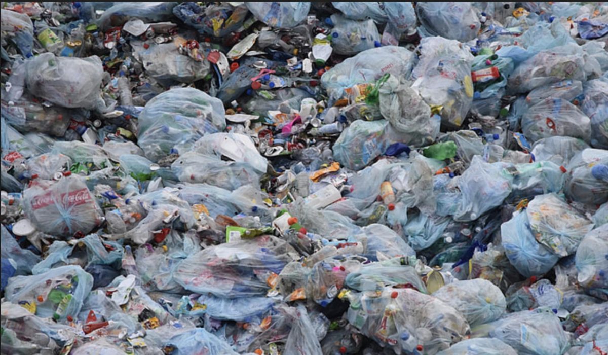 Stop Littering