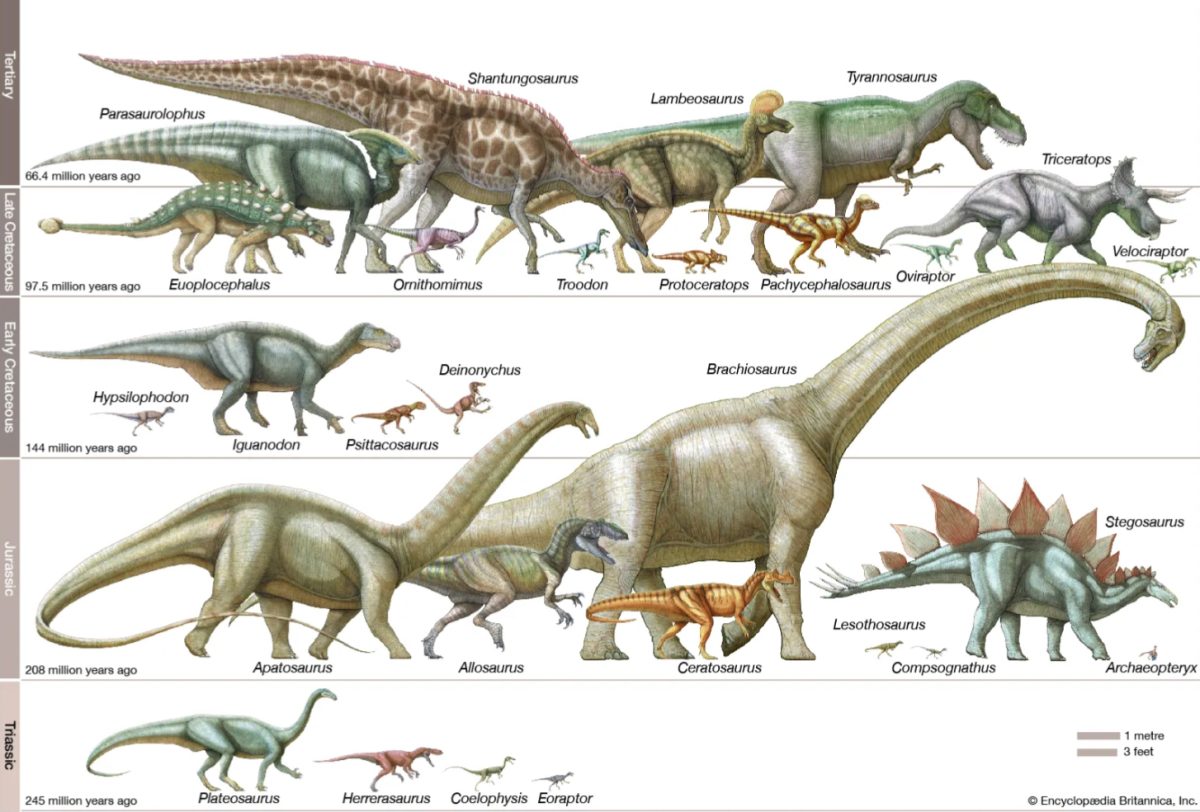 This image shows us just a few of the hundreds of types of dinosaurs.