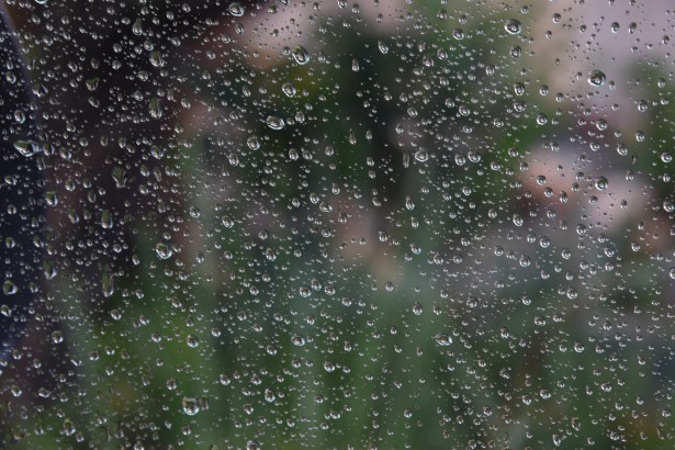 Smell of Rain--Petrichor