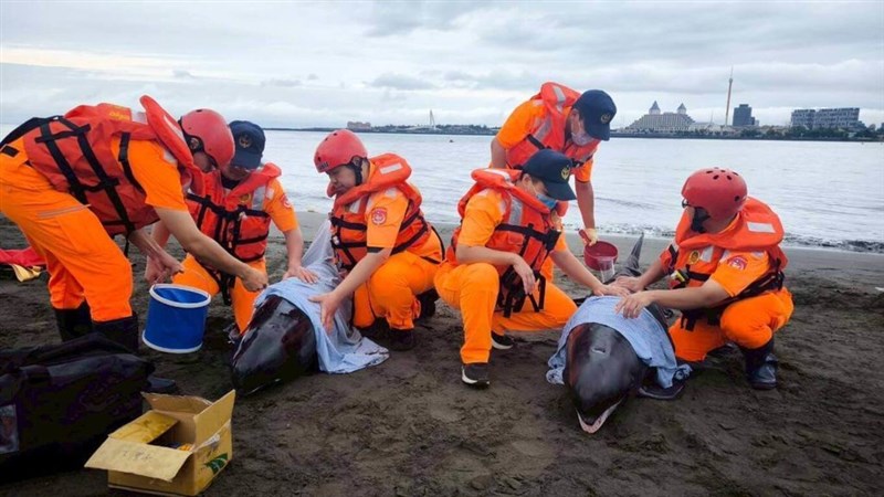 Photo from focustaiwan.tv and provided by Coast Guard Administration